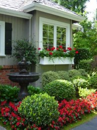 Window Box & Curb Appeal