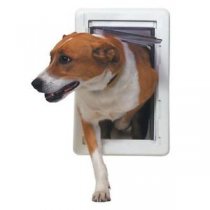 9 Do’s and Don’ts When Buying a Dog Door