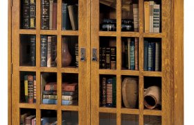 Bookcase with glass Doors