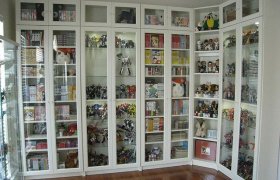 Bookshelves With Glass Doors