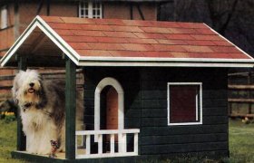 Dog house with windows