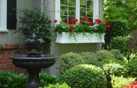 House with window boxes