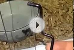 Sliding Glass Door Locks