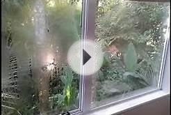 Stop Condensation on Windows